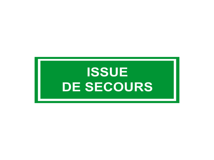 Évacuation Sécurité  E205  Issue de secours  Panneau Signalétique Norme ISO7010