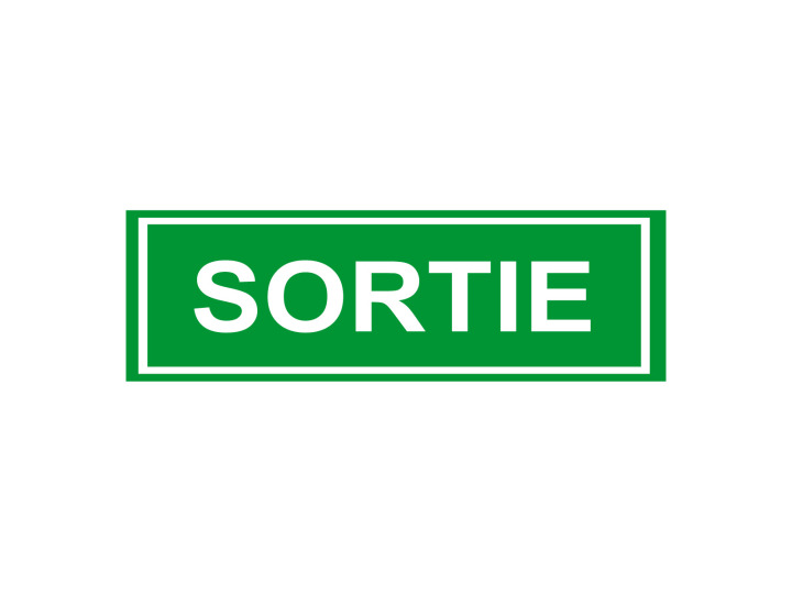 Évacuation Sécurité E206 Sortie Panneau Signalétique Norme ISO 7010