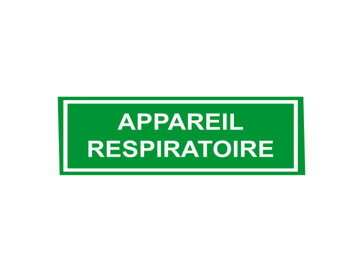 Évacuation Sécurité E216 Appareil respiratoire Panneau Signalétique Norme ISO 7010