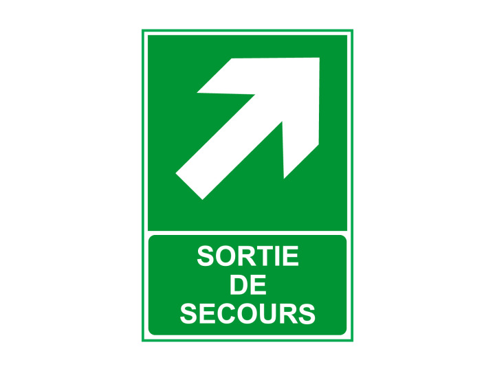 Évacuation Sécurité  E407  Sortie de secours Flèche haut gauche  Signalétique Norme ISO7010