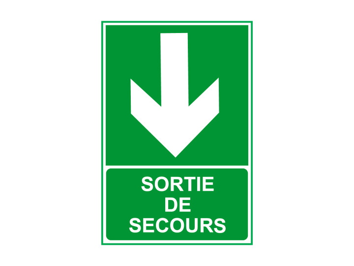 Évacuation Sécurité  E409  Sortie de secours Flèche bas  Panneau Signalétique Norme ISO7010