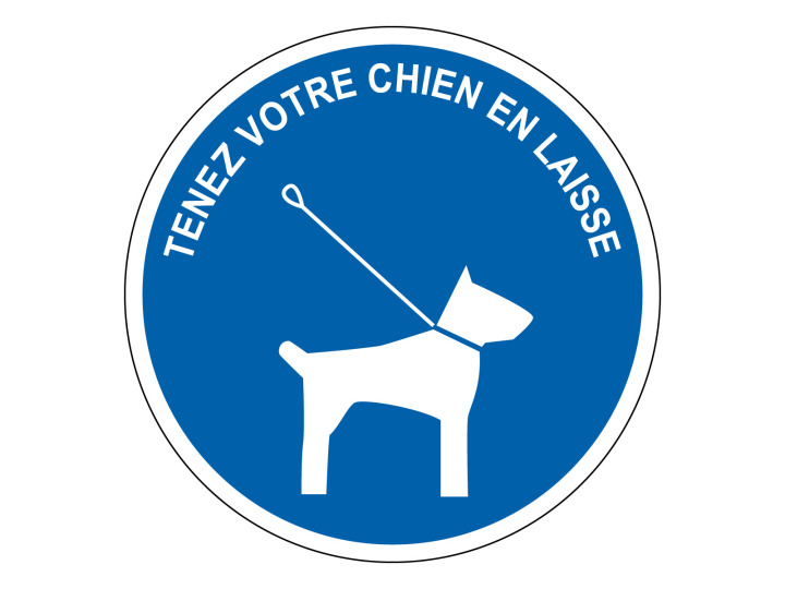 Obligation  M178  Tenez chien en laise  Panneau Signalétique Norme ISO7010